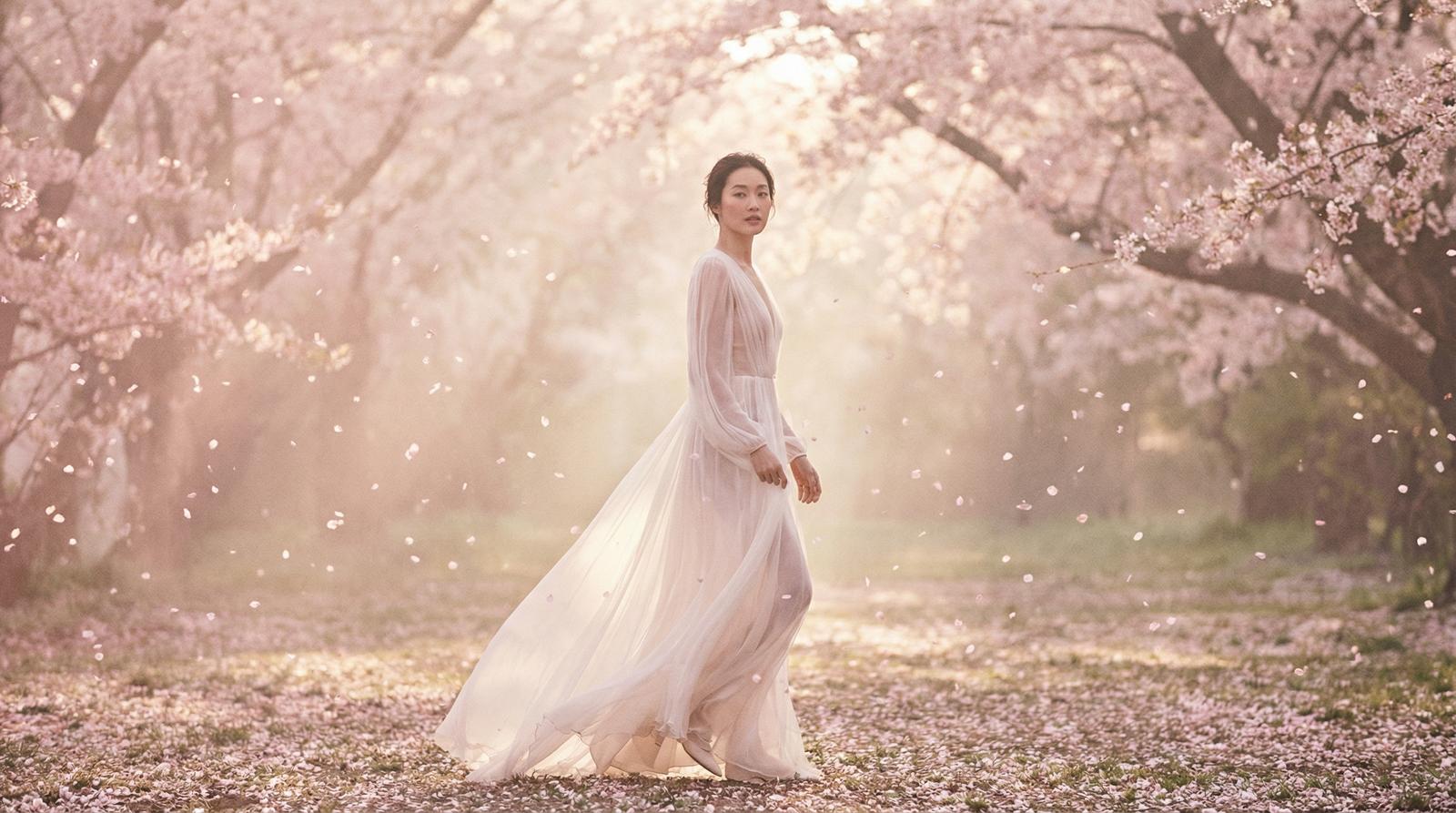 男同网樱花季唯美视频